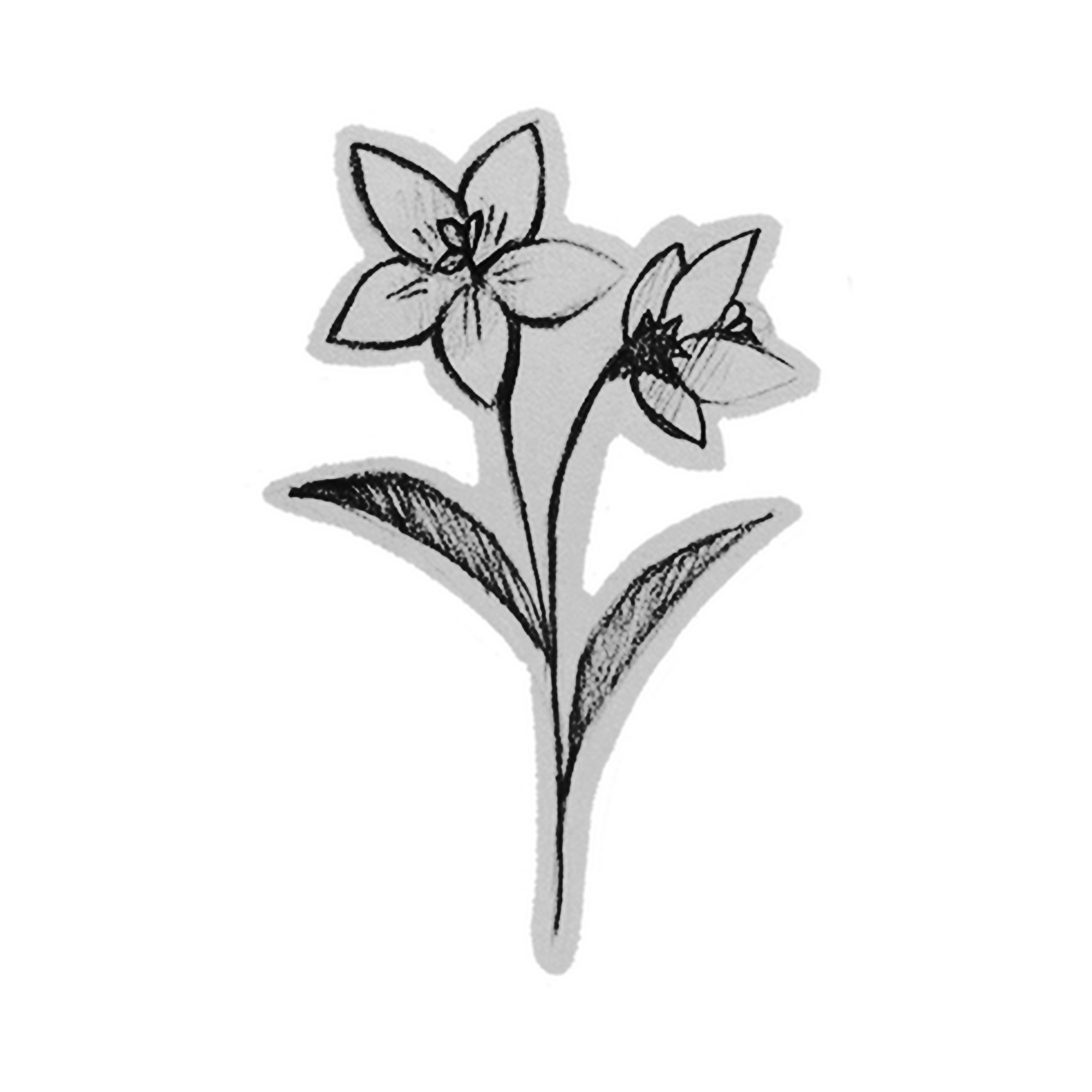 Tatuagem Geek fine line RAMO_DE_FLOR_1