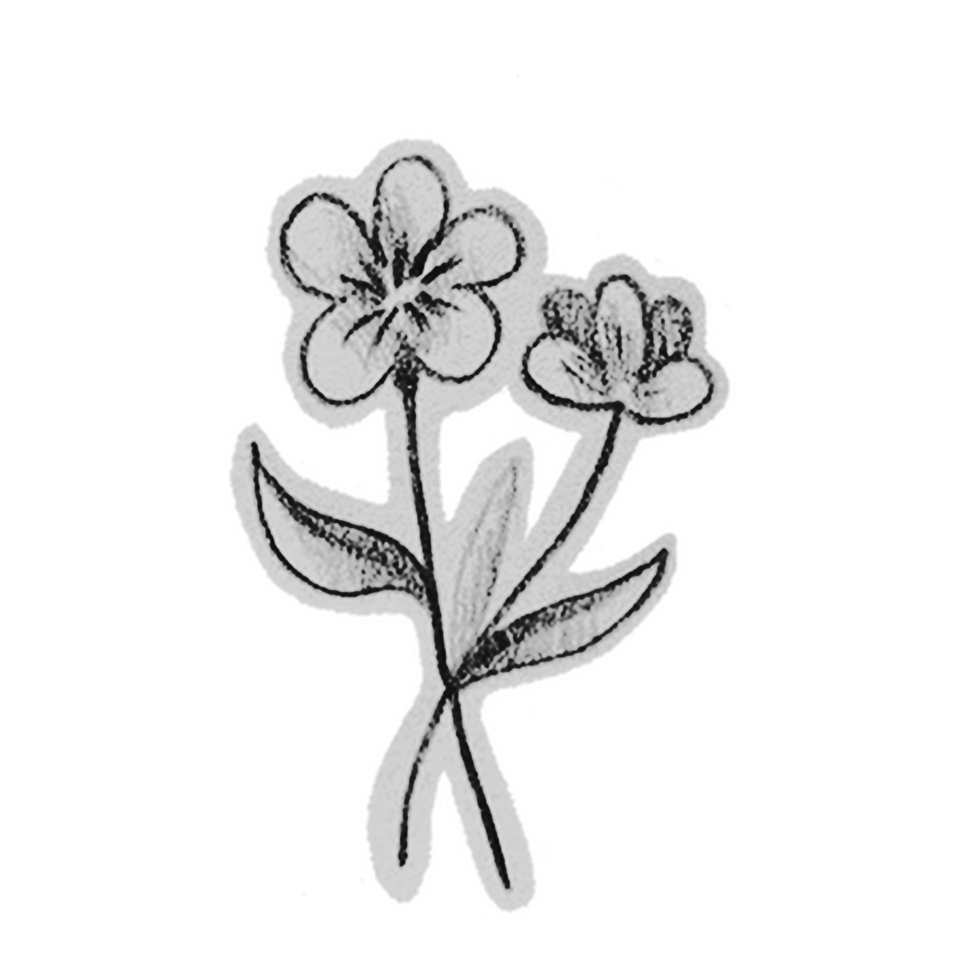 Tatuagem Geek fine line RAMO_DE_FLOR_2